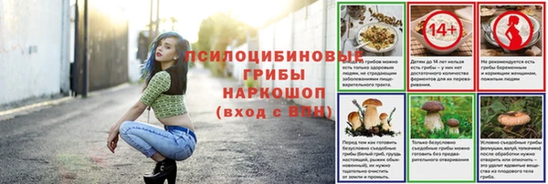 тгк Кукмор